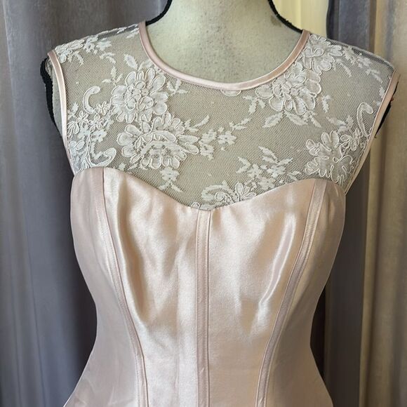 Vera Wang Elegant Lace Detail baby pink  Dress, US4 - Picture 3 of 13